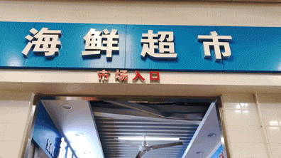 生存之上,疫情之下:等待中的海鲜批发商们 生活思索 第2张 生存之上,疫情之下:等待中的海鲜批发商们 生活思索 第2张